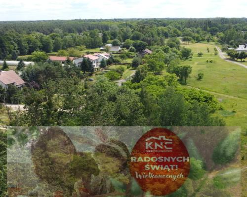 Działka o pow. 6461 m2 w Wysokim Kole (Gniewoszów)