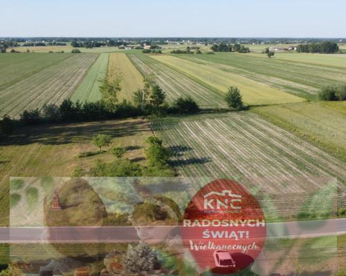 Działka o pow. 6461 m2 w Wysokim Kole (Gniewoszów)