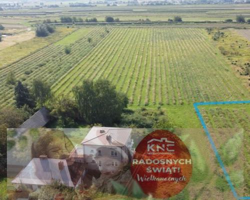 Działka budowlano-usługowa w Końskowoli gm. Puławy