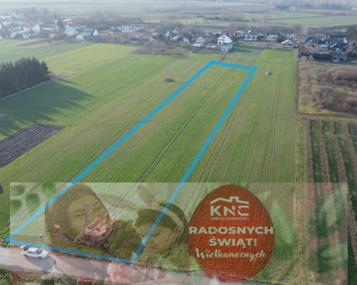 Działka rolno-budowlana 0,62 ha w Gołębiu k/Puław.