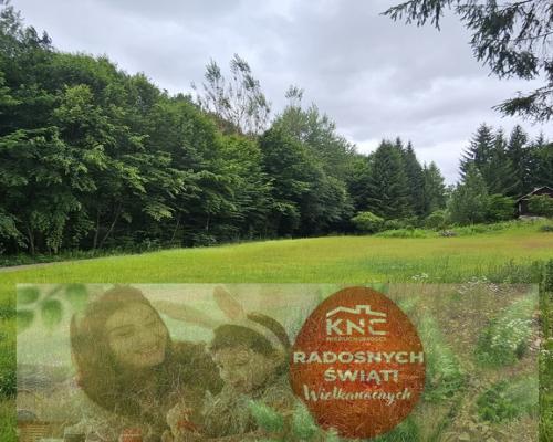 Działka, Nałęczów, 28ar, budowlana, media