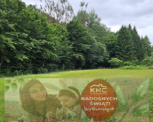 Działka, Nałęczów, 28ar, budowlana, media