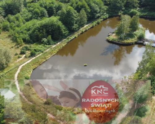 Nietypowa działka w Ignacówce Bobr. gm. Głowaczów.