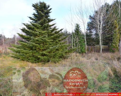 Atrakcyjna działka media, z pozw.na bud. z projekt