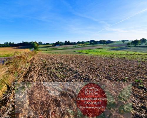 Działka 53ar w doskonałej cenie - blisko Nałęczowa