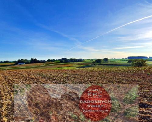 Działka 53ar w doskonałej cenie - blisko Nałęczowa