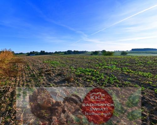 Działka 53ar w doskonałej cenie - blisko Nałęczowa