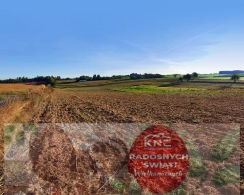 Działka 53ar w doskonałej cenie - blisko Nałęczowa