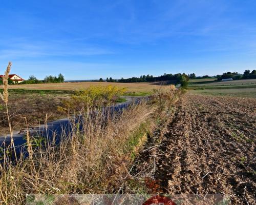 Działka 53ar w doskonałej cenie - blisko Nałęczowa