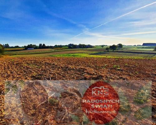 Działka 53ar w doskonałej cenie - blisko Nałęczowa