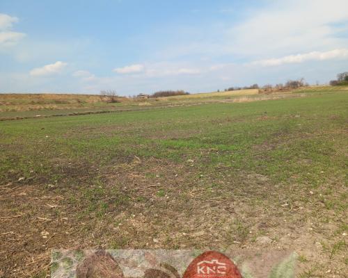 Jakubowice Murowane, gm. Wólka-działka 6600m2