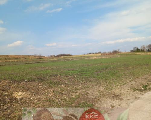 Jakubowice Murowane, gm. Wólka-działka 6600m2