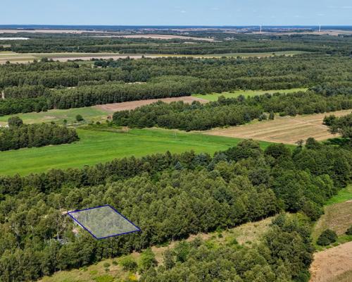 Gruszewnia | Działka z projektem na sprzedaż