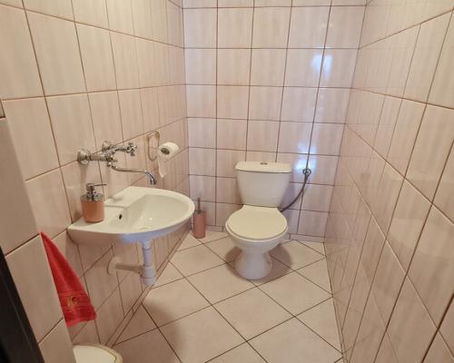 Libidza, ul. Biała | Przestronny dom