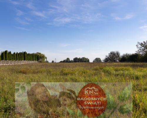 Starościce - działka budowlana, piękna okolica