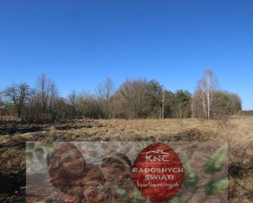 Działka rolno-budow. Wola Mieczysławska g.Lubartów