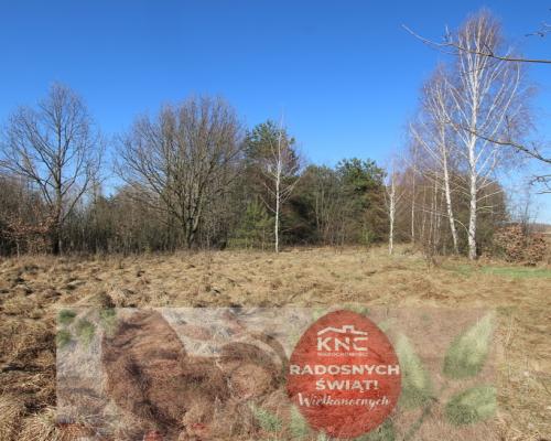 Działka rolno-budow. Wola Mieczysławska g.Lubartów
