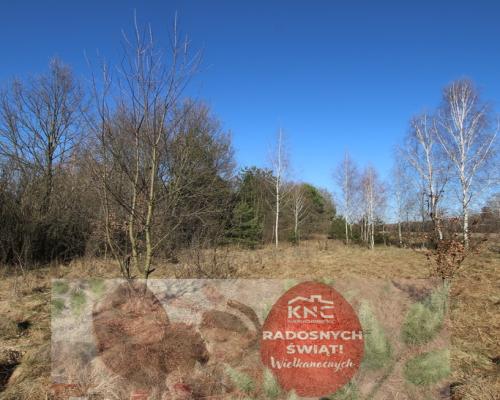 Działka rolno-budow. Wola Mieczysławska g.Lubartów