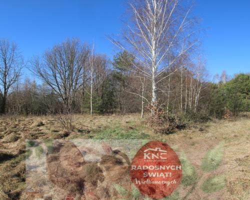 Działka rolno-budow. Wola Mieczysławska g.Lubartów