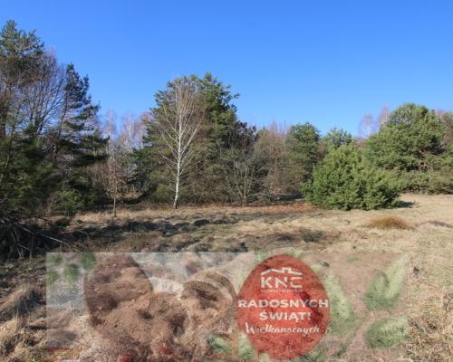 Działka rolno-budow. Wola Mieczysławska g.Lubartów