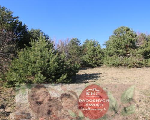 Działka rolno-budow. Wola Mieczysławska g.Lubartów