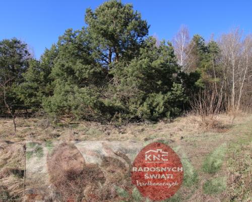 Działka rolno-budow. Wola Mieczysławska g.Lubartów