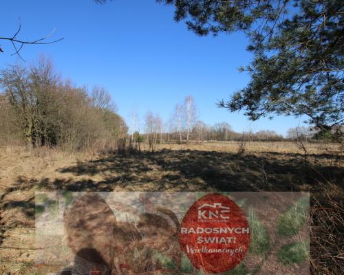 Działka rolno-budow. Wola Mieczysławska g.Lubartów