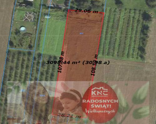 Działka rolna - 30ar - Smugi gm. Jastków