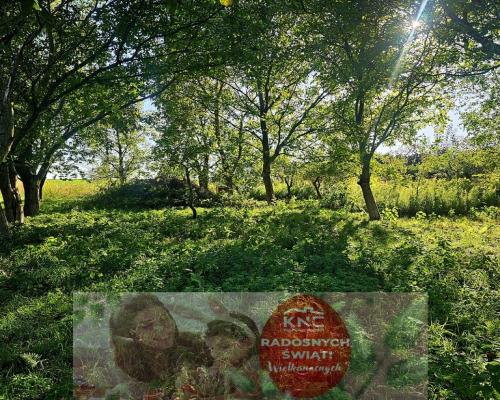 Działka pod dom jednorodzinny lub bliźniaka -Smugi