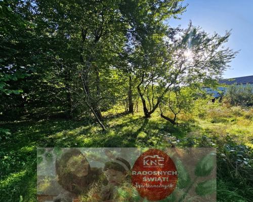 Działka pod dom jednorodzinny lub bliźniaka -Smugi