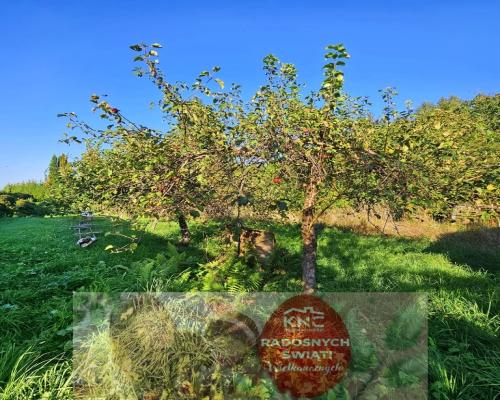 Smugi gm. Jastków- 56ar pod bliźniaka lub dom