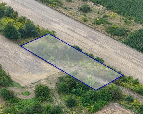 Rzerzęczyce | Działka na sprzedaż