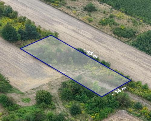 Rzerzęczyce | Działka na sprzedaż