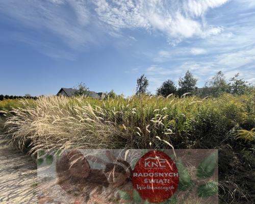 Działka 1067 m2 w Krasieninie gm. Niemce k/Lublina