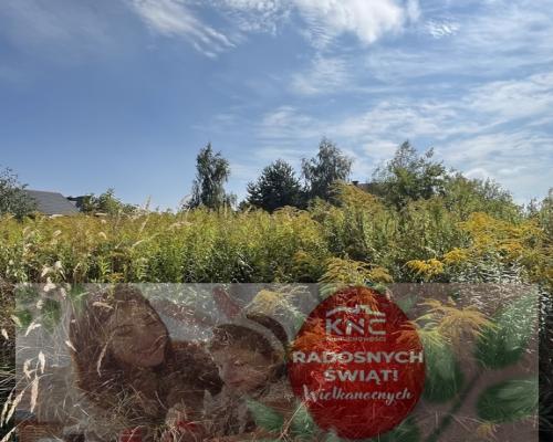 Działka 1067 m2 w Krasieninie gm. Niemce k/Lublina