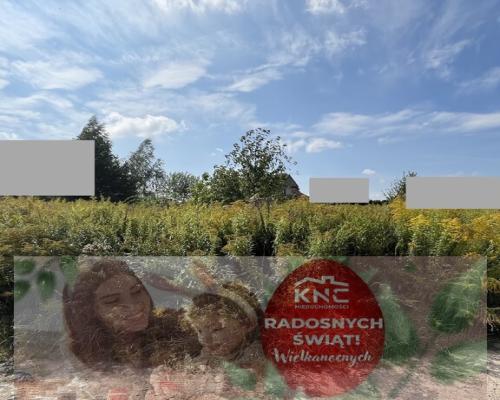 Działka 1067 m2 w Krasieninie gm. Niemce k/Lublina