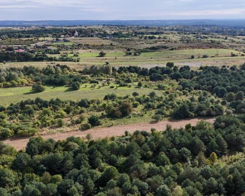 Choroń, ul. Poległych | Działka na sprzedaż