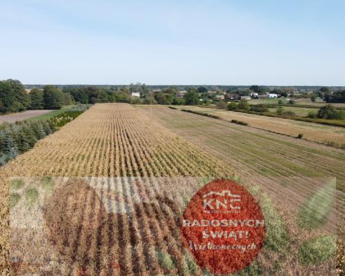 Działka budowlana 0.55 ha Sielce gm. Końskowola