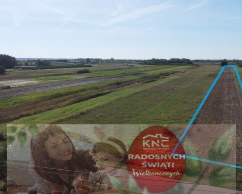 Działka budowlana 0.55 ha Sielce gm. Końskowola