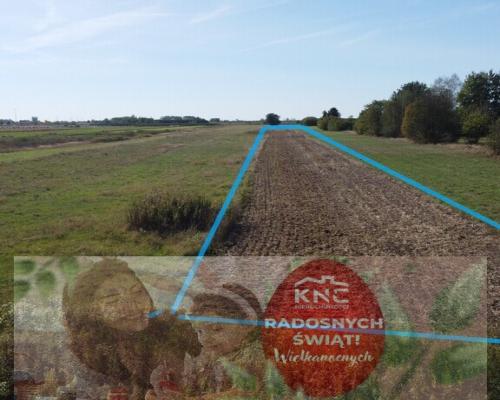 Działka budowlana 0.55 ha Sielce gm. Końskowola