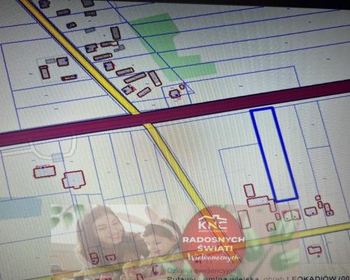 Działka 4017 m2 budowlana Leokadiów gm. Puławy.