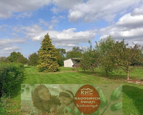 Działka 4017 m2 budowlana Leokadiów gm. Puławy.