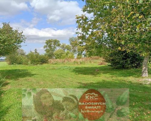 Działka 4017 m2 budowlana Leokadiów gm. Puławy.