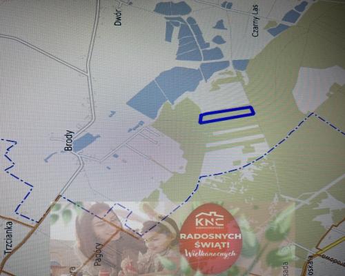 Działka leśna 3,90 ha w Brodach  gm. Pierzchnica.