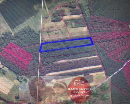 Działka leśna 3,90 ha w Brodach  gm. Pierzchnica.