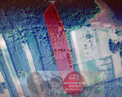 Działka leśna 3,90 ha w Brodach  gm. Pierzchnica.