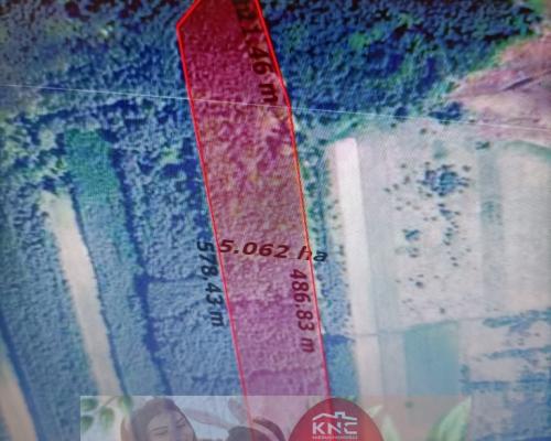 Działka leśna 3,90 ha w Brodach  gm. Pierzchnica.