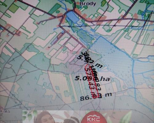 Działka leśna 3,90 ha w Brodach  gm. Pierzchnica.