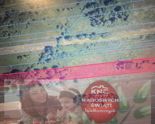 Działka 1.77 ha w Brzeźnicy Leśnej pow. Lubartów.