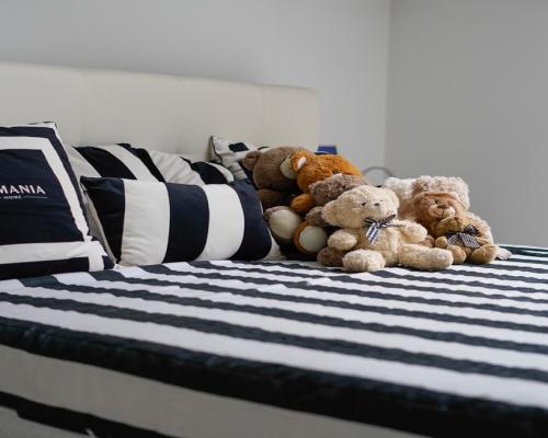 Częstochowa, ul. Mazowiecka | Apartament